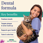 Dental Spray For Dogs Teeth - No Fuss Tooth Gums Care   Bad Breath Freshener Usa