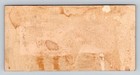Frederick Stein New London Ct Bookseller Trade Card Victorian Puppies Frog 4x2