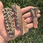 Rare Pre-columbian Tarascan Pottery Smoking Pipe Fragments     West Mexico