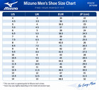 Mizuno Boxing Shoes Finisher Low 21ga2300 05 White    Gold    Black Made In Japan