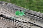 Vaseline Glass Spider Uranium Glass Figurine Spider Glass Uv Spider Glass