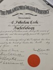 Old Rare Historical 1914 Phila College Of Pharmacy E Fullerton Cook Certificate
