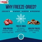 Stewart 100  Beef Liver Dog Treats  Freeze Dried  21 Oz  475 Pieces High Protein
