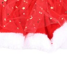 Pet Christmas Costume Fun Cute Father Christmas Dog Cat Christmas Clothing With