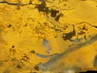  rw   Rough unpolished  eastern Oregon Jasper     8 Pound Piece