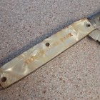 Vintage Souvenir Yellowstone National Park Pearl 2 Blade Pocket Knife Ideal Usa