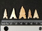 Lot Of Five  Ancient Tidikelt Arrowhead S Or Bird Points 3 28