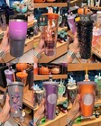 2024 Starbucks Witchs Halloween Party Mug   Cup   Tumbler Collection Brand New