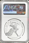 1776-2026 W Burnished  1 American Silver Eagle Ngc Ms69 Enhanced Privy - In Hand