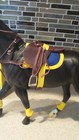 Breyer  2495 Limited Ed Polo Tack Set  only 3000 Made  -w Cortes C Thoroughbred