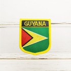 Guyana Patch Set Of Embroidery Flag And Badge Shield Patch And Lapel Pin 