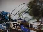 Vintage Supercross Autographed Poster Josh Hill Yamaha   40  17  X 11 