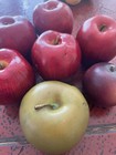 7 Pcs Fake Fruit Apples  Plum Artificial Lifelike Red Green Faux Home Staging