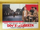 1954 Where Is Freedom Lot 8 Toto  - Italian Fotobusta Movie Poster Orig T6-1