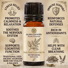 Holy Basil Essential Oil  100  Pure undiluted  And Natural therapeutic Grade Oil