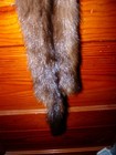 Beautiful Tanned Wild Mink Fur Pelt Skin Taxidermy 4 Feet Claws  Native Craft 1