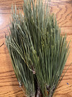 Pine Needles Norway Red Pine 4 Ounces Oz Long Leaf Freshly Gathered Free Ship