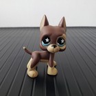 Littlest Pet Shop 817 Brown Great Dane Dog Chocolate Star Blue Eyes Lps Toy Gift