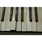 Koch Accordion Made In Germany 1920 s 