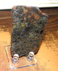 83 Gm Sericho Pallasite Meteorite  Slice From Kenya Stand Olivine Jal