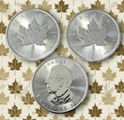 Lot Of 3 - 2026 Canadian Maple Leaf Commemorative  0 999999 Purity    