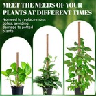 54 Inch Moss Pole  3 Pack 16 Inch Moss Poles Monstera Plant Support  Moss Poles