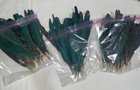 Lot Of 50 Natural Green Feathers     Rare Emerald   Real