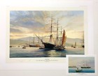 Spitfire Clipper By Robert Taylor  Maritime Art Print Of America s Famed Clipper
