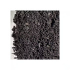 22 Lb  Biochar Organic Soil Amendment