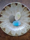 Beautiful Rare Color Sea Glass 3pcs  Surf Tumbled  Weathered  Beach Glass  170