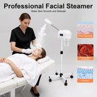 Home Spa Facial Steamer Professional Ozone Mist Machine For Skin Care 110v