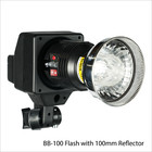 40w Flash Light Kit Strobe Slave W  Beauty Dish Reflector For Studio Photography