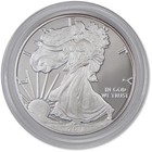 2011 W American Silver Eagle Choice Proof Bullion  1 Coin Ogp Coa