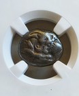 Lydia Croesus Lion Vs Bull Half Stater Ngc Choice Fine Ancient Silver Coin