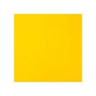 Steiner 334-6x8 Welding Curtain  Transparent Vinyl  8 Ft  W   6 Ft  H   13