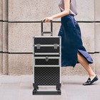 Professional Rolling Makeup Case Travel Cosmetic Storage Box Salon Trolley 50kg