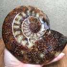 995g Natural Polishing Stone Sculptor Ashtray Healing Crystal Specimen  Fb2031