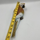 Decorative Parrot 13 Inches Long Hangs With Bright Colors Made From Plaster N