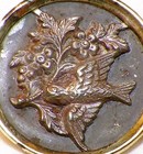 Antique Picture Button Bird Eating Berries Steel Brass Self Shank Victorian  17