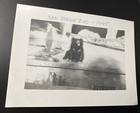 Vintage 1945 San Diego Zoo Bears Exhibit Animals Original Real B w Photo P13n1