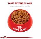 Royal Canin Feline Health Nutrition Kitten Dry Cat Food  14 Lbs