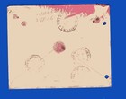 Uruguay To Argentina  Registered Cover  W perf  1926  Nueva Berlin Cancel