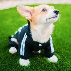 Warm Pet Jumpsuit Winter Dog Clothes Soft Cozy Outfit For Small Medium Dogs Usa