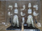 Star Wars Artfx Plus Snowtrooper Two 2 Pack Pre-painted Model Kit Kotobukiya