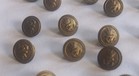 Vintage Brass Metal Buttons- Lot Of 23 1895-1920
