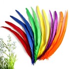Rooster Tail Feathers Bulk Mixed Rainbow Colors For Diy Crafts 12-14 In 50