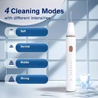 New Electric Teeth Cleaner Ultrasonic Dental Scaler Plaque Calculus Remover Usa