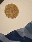 Bp Home Textile Embroidered Woven Wall Art 18 x26  Mountains   Wildflowers