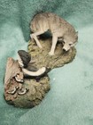 Wolf And A Skunk Family Scene Figurine  Living Stone  1998 