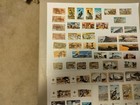 South West Africa Mnh Lot Of 24 Commemorative Issues 95 Stamps From 1976 To 1985